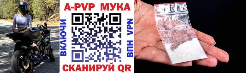дарнет шоп Михайловка Альфа ПВП СК