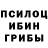 Псилоцибиновые грибы Psilocybine cubensis Surprise Alabi
