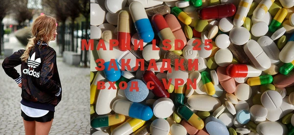 стафф Богородицк