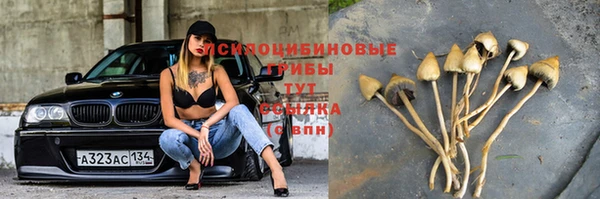 MDMA Premium VHQ Богданович