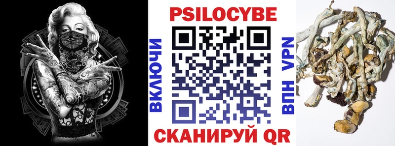 где найти Михайловка Галлюциногенные грибы Psilocybine cubensis